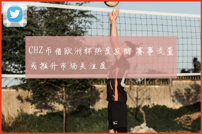 CHZ币借欧洲杯热度发酵 赛事流量或推升市场关注度