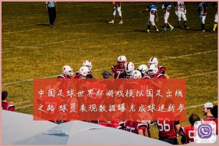 中国足球世界杯游戏模拟国足出线之路 球员表现数据曝光成球迷新参考